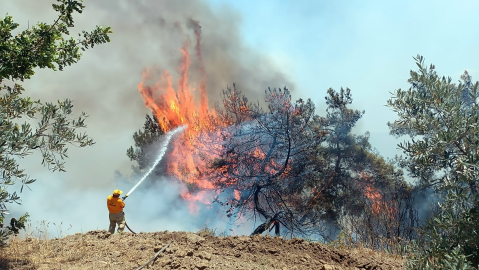Adana’da orman yangını; 2,5 saatte kontrol altında (2)