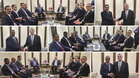 Bakan Bolat, Endonezyalı ve Gabonlu mevkidaşları ile görüştü (2)
