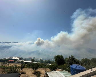 İzmir'de orman yangını/ Ek Fotoğraflar