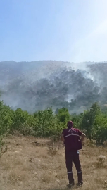 Siirt'te örtü yangını (3)