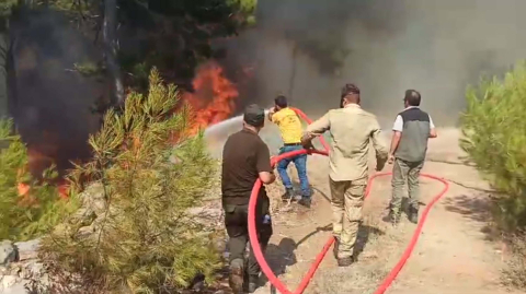 Bodrum'da orman yangını (3)