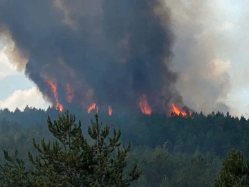 Kastamonu'da orman yangını