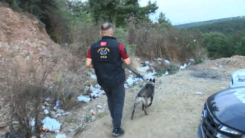 İstanbul- Sultangazi'de kayıp olarak aranan kişinin cesedi ormanda bulundu