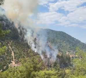 Adana'da orman yangını