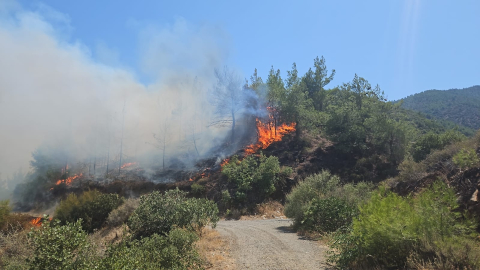 Hatay’da orman yangını