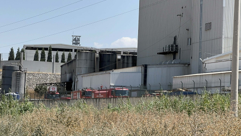 Manisa'da balık yemi fabrikasında yangın