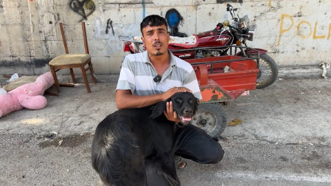 HATAY Kamyonete bağlanan köpeği sürüklemişti: Aracın içine bağlamışlar, haberim yoktu (VİDEO EKLENDİ)