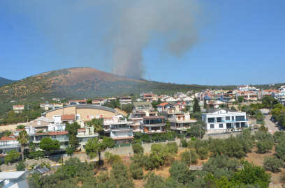 Erdek'te orman yangını (2)