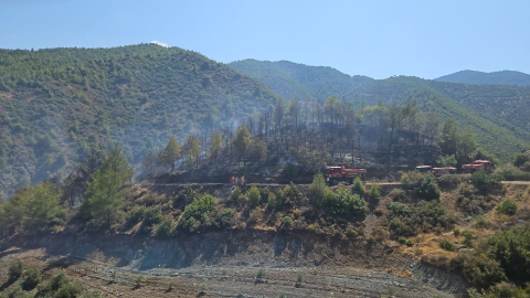 Hatay’da orman yangını (2)