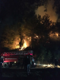 Muğla'da orman yangını