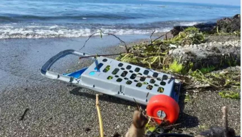 Karadeniz’de mikroplastik tehlikesinde ‘nehir’ etkisi / Ek fotoğraflar