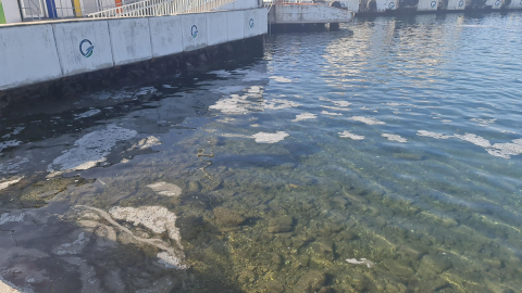 Çanakkale Boğazı'nda müsilaj tespit edildi