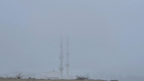 Edirne ve Tekirdağ'da sis etkili oldu (2)